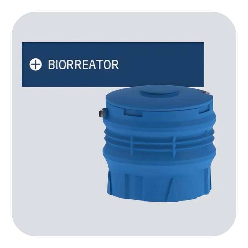 Design sem nome - 2024-10-04T044608.899